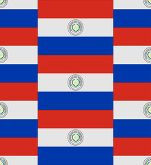 Paraguay flag texture vector