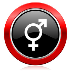 sex icon gender sign