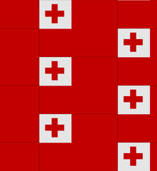 Tonga flag texture vector