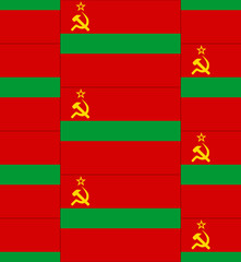 Transnistria flag texture vector