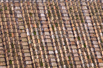Roman roof tiles