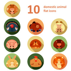 Flat icons with animals