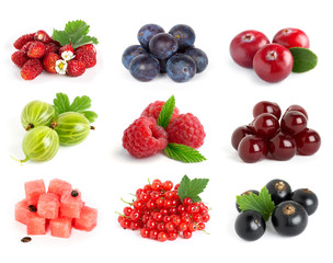 Collection of sweet berries