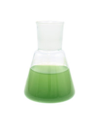Erlenmeyer flask filled with liquid