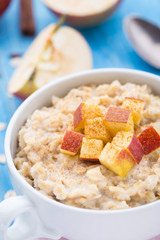 Tasty oatmeal with apples and cinnamon