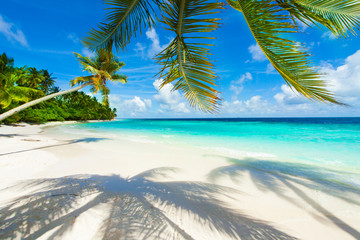 Rest in Paradise - Malediven - Palme, Palmenschatten, Strand