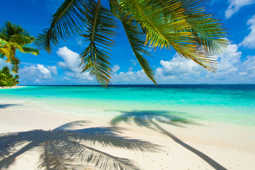 Fototapeta na wymiar Rest in Paradise - Malediven - Palme, Palmenschatten, Strand