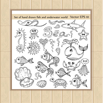 Vector set of hand drawn fish and underwater world icons
