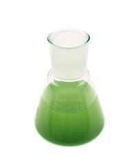 Erlenmeyer flask filled with liquid