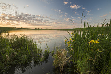 mały staw otoczony wiosennymi polami © Mike Mareen