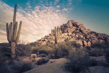 Foto op Aluminium Wild desert landscape © BCFC