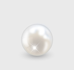 Beautiful realistic pearl illustration vector