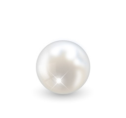 Beautiful realistic pearl illustration vector