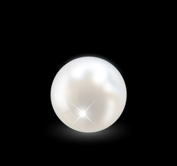 Beautiful realistic pearl illustration vector
