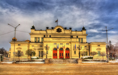 Fototapeta premium The National Assembly (Parliament) of Bulgaria in Sofia