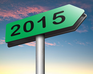 2015 new year