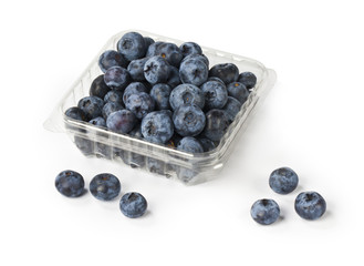fresh blueberry from forest in plastic container