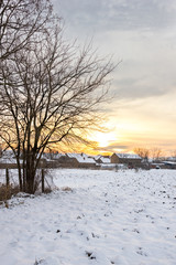 Winter landscape with snowy countryside village next to snow cor