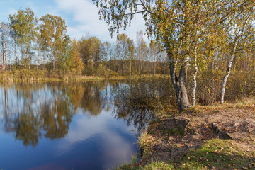 Fototapeta na wymiar Landscape on the banks of the pond in golden autumn