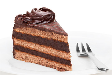 Piece of chocolate cake.