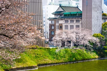 Fotobehang Tokyo, Japan view of buildings around Chidorigafuchi moat © SeanPavonePhoto