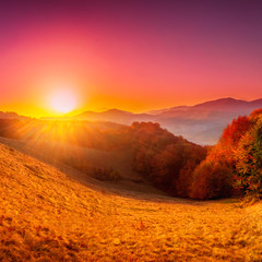 Colorful autumn landscape