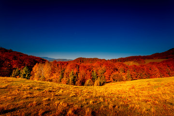 Colorful autumn landscape