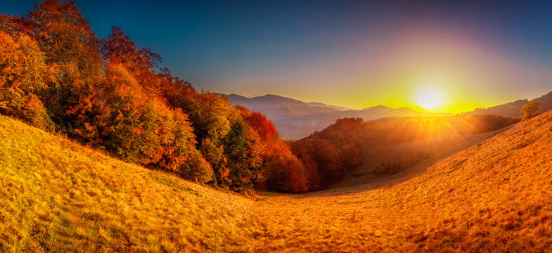 Colorful autumn landscape © Goinyk
