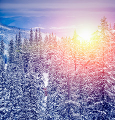 Amazing evening winter landscape.