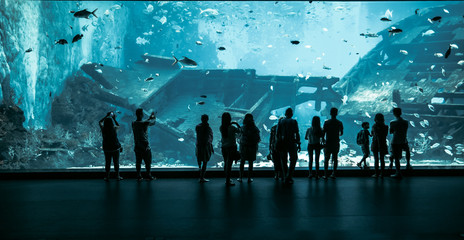 Large Aquarium in Singapore