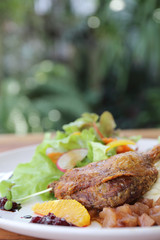 Duck confit , Roasted duck with blueberry sauce