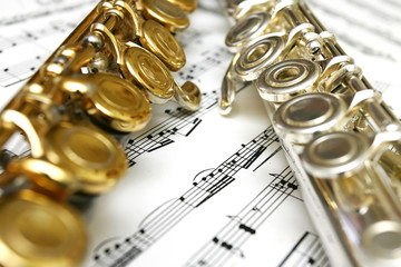 Obraz premium flutes