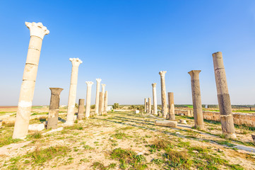 Raphana in present-day north of Jordan