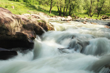 Beautiful river with stones ,trees and grass