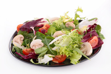 vegetable salad