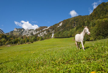 Ljubelj mountain pass, nature, Slovenia