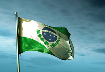 Parana (Brazil) flag waving on the wind - obrazy, fototapety, plakaty