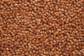 Buckwheat texture