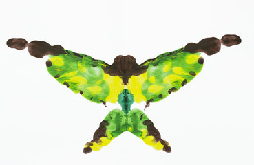 Fototapeta premium Acrylic butterfly