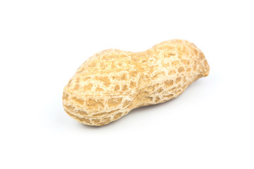 Groundnut