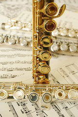 Obraz premium flutes