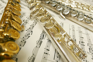 Obraz premium flutes