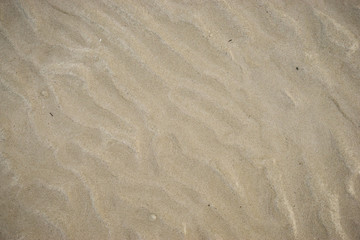 Background of the sand