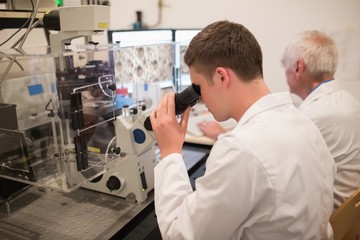 Naklejka na ściany i meble Biochemist and student looking at microscopic images on computer