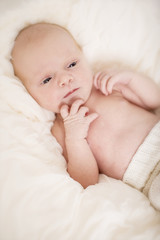 Newborn Baby wach
