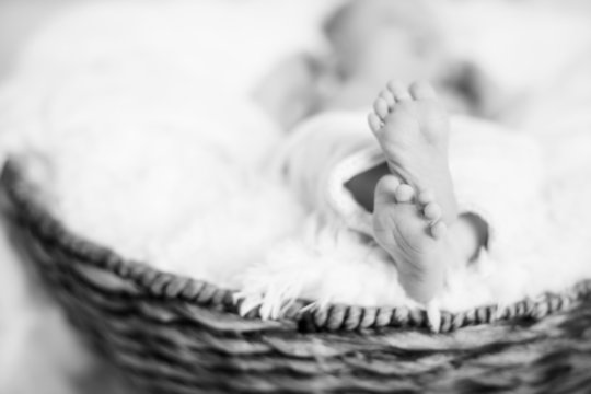 Newborn Babys kleine Füße sw