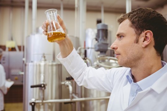 Focused scientist looking beaker with beer