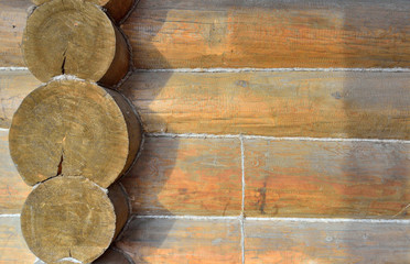 wall from logs background