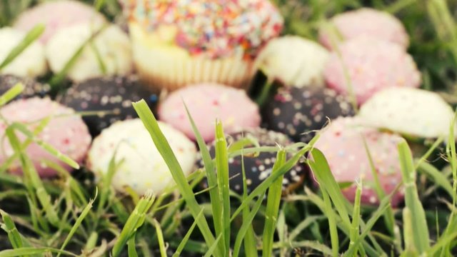 Assorted colourful cupcakes in the grass in the late afternoon. 