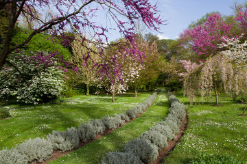 Obraz premium gardens of ninfa